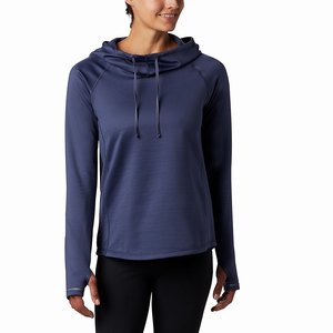 Columbia Warden Lodge™ Pullover Hoodie Dam Marinblå (QXOJE4965)